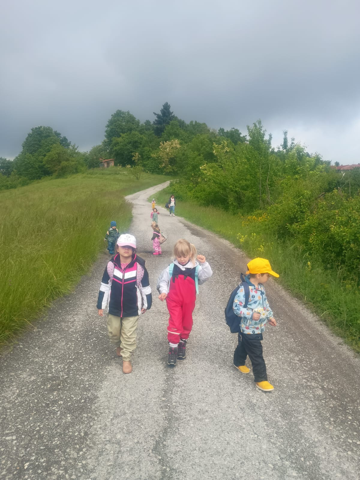 Bambini in passeggiata nel bosco - esplorazione e scoperta nella pedagogia del bosco